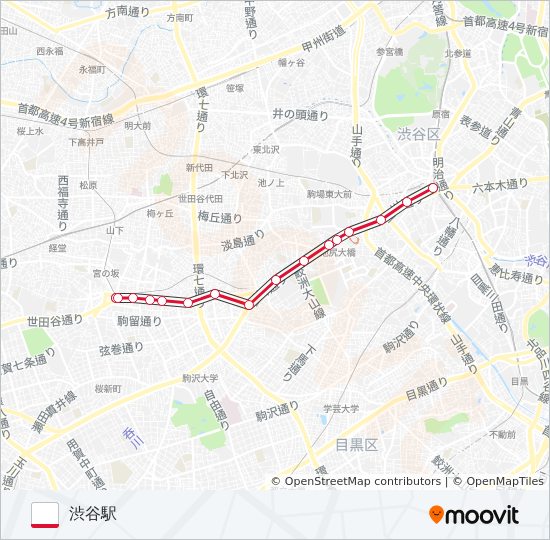 渋21 バスの路線図