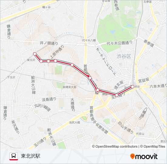 渋55 バスの路線図