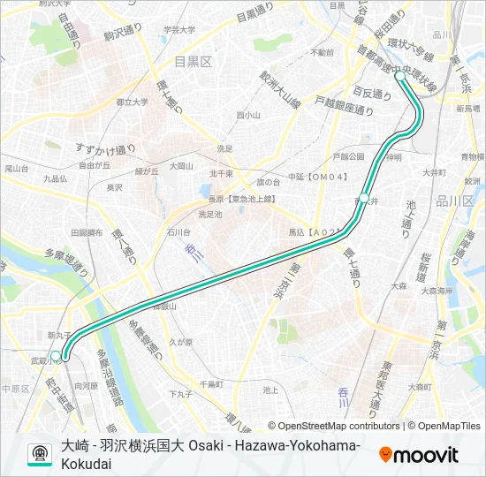 相鉄直通線 SOTETSU DIRECT CONNECTION LINE Metro Line Map