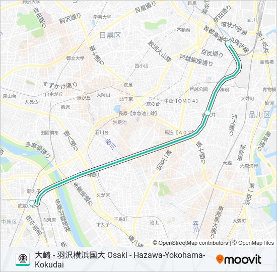 相鉄直通線 SOTETSU DIRECT CONNECTION LINE 地下鉄 - メトロの路線図