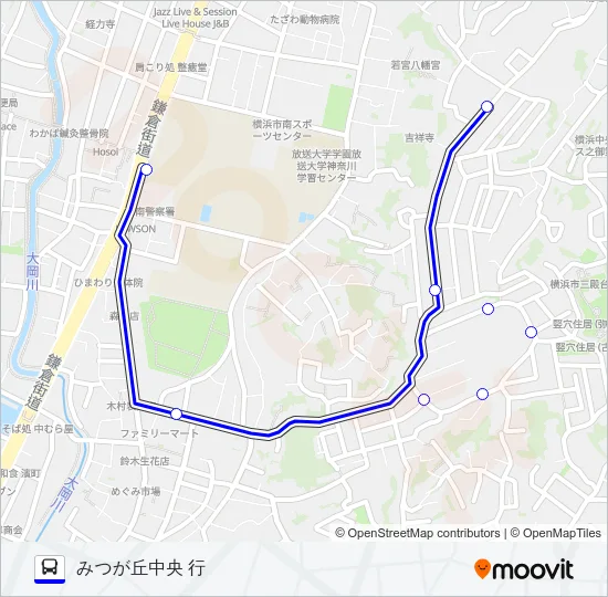 219系統 バスの路線図