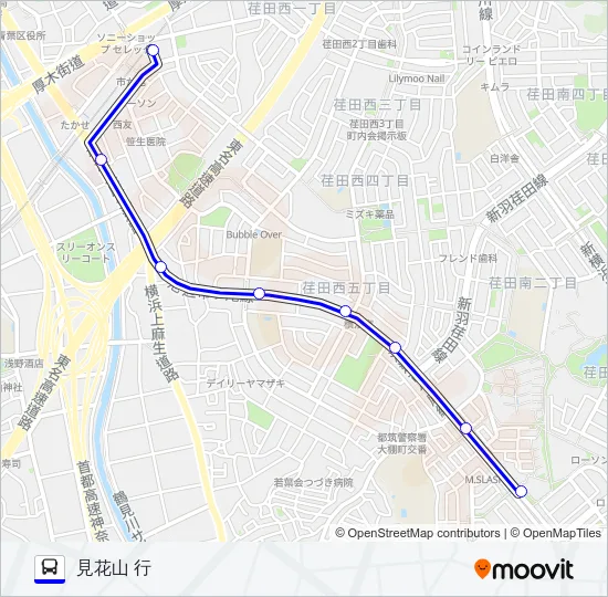 306系統 バスの路線図