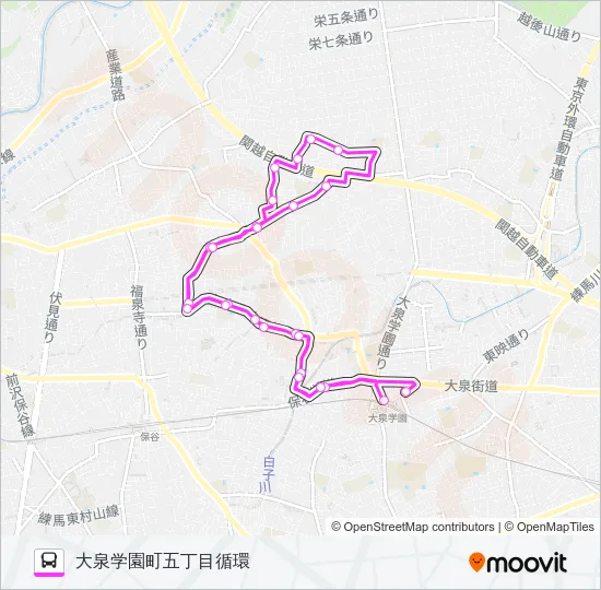 大泉ルート バスの路線図