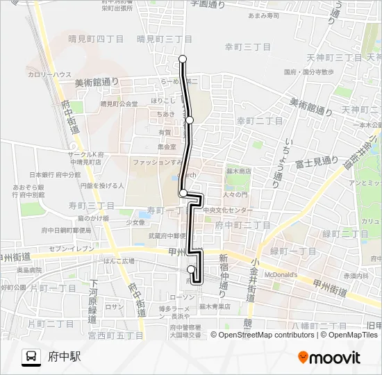 Temple 91 Bus Line Map