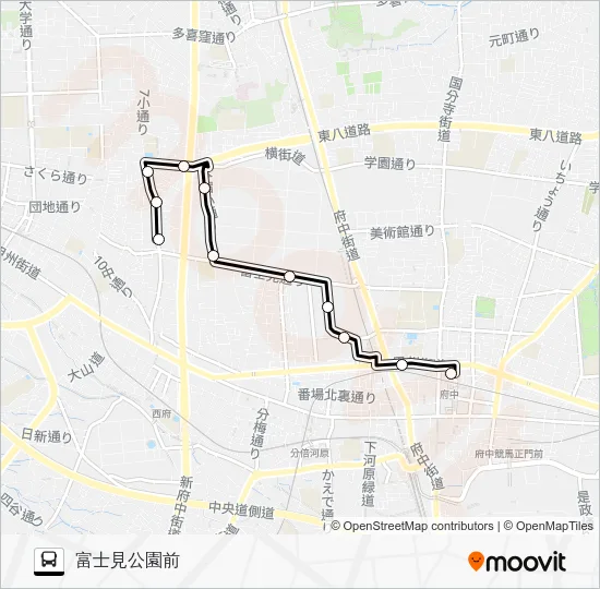 Fu 46 Bus Line Map