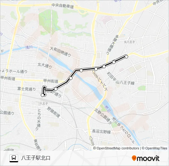 Day 50 Bus Line Map