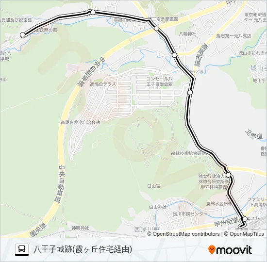 城01 バスの路線図