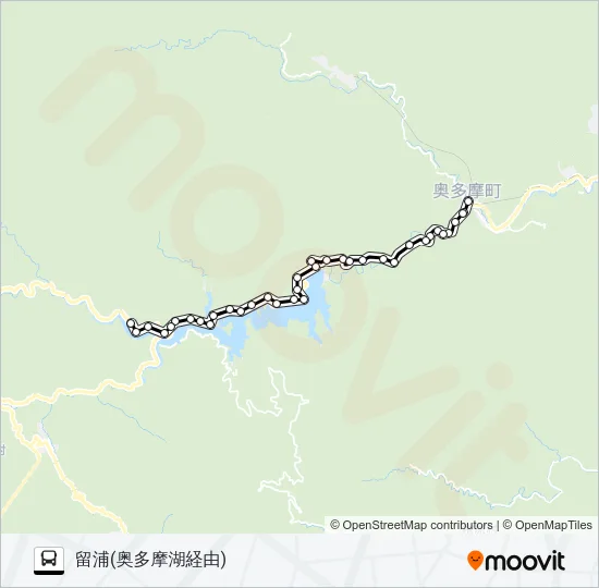奥11 Bus Line Map
