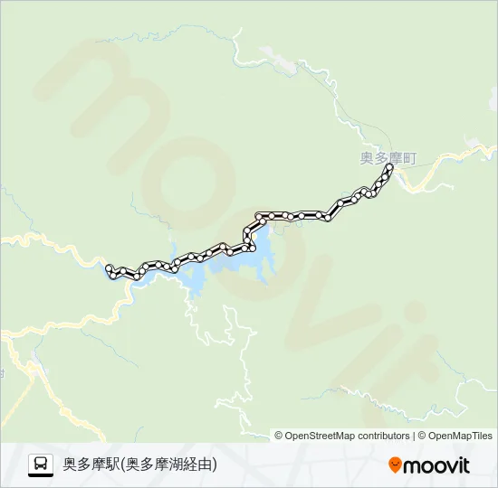 奥11 Bus Line Map