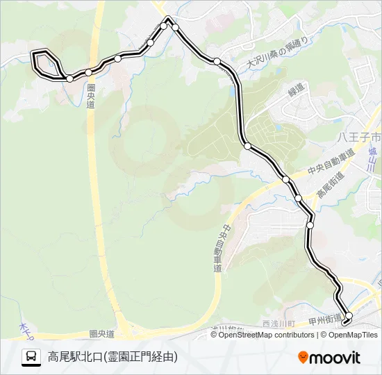 美31 バスの路線図