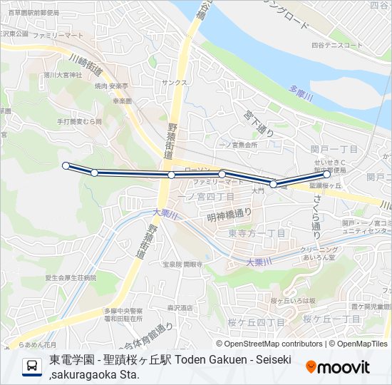 桜81 バスの路線図