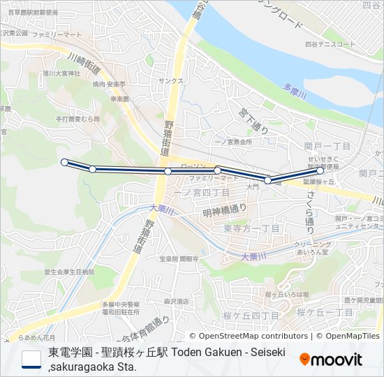 桜81 バスの路線図