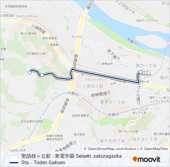 桜81-急 バスの路線図