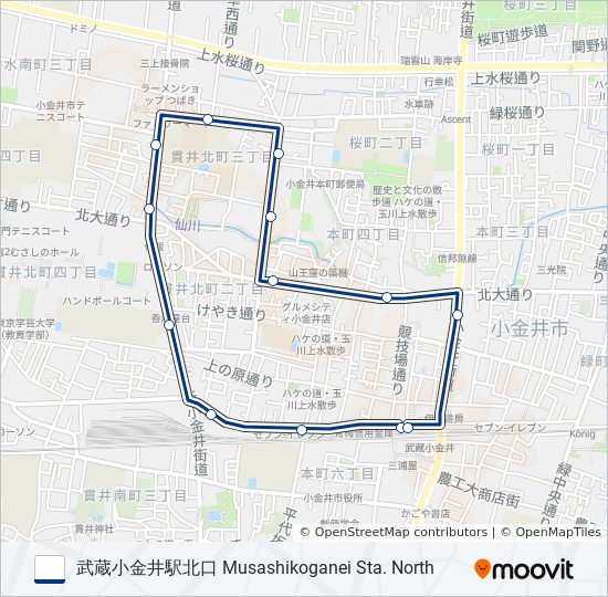 武31-朝 バスの路線図