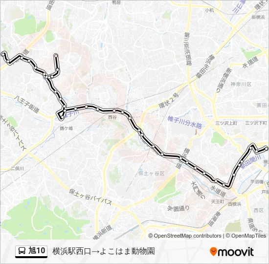 旭10 バスの路線図