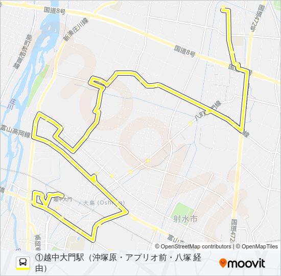 (1)新湊・大門線（南系統） バスの路線図