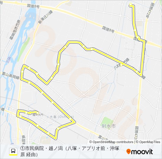 (1)新湊・大門線（南系統） バスの路線図