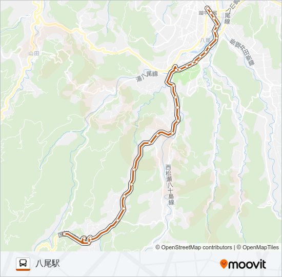 大長谷線（八尾駅行き） バスの路線図