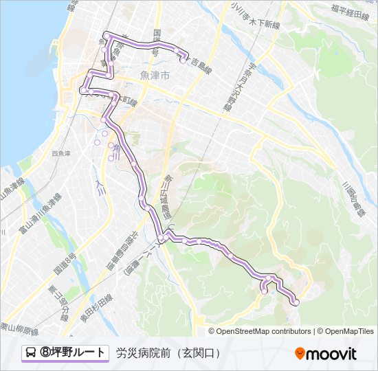 ⑧坪野ルート バスの路線図