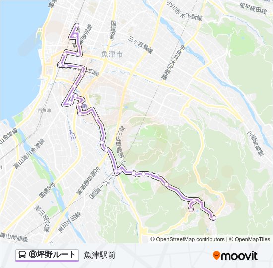 ⑧坪野ルート バスの路線図