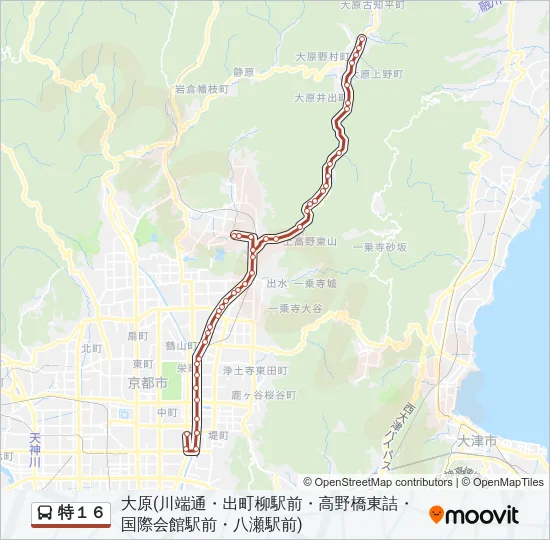 特１６ Bus Line Map