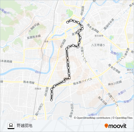 P2-1：桜町バスターミナル→下通筋→平成町→済生会病院→野越団地 Bus Line Map