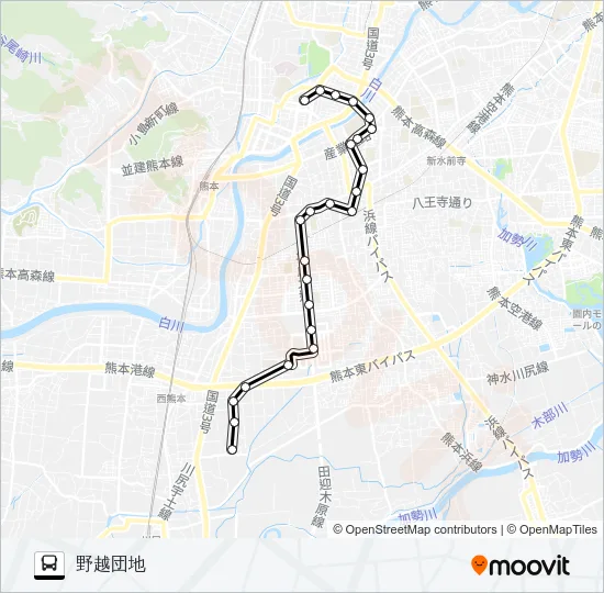 P2-1：桜町バスターミナル→下通筋→平成町→済生会病院→野越団地 バスの路線図