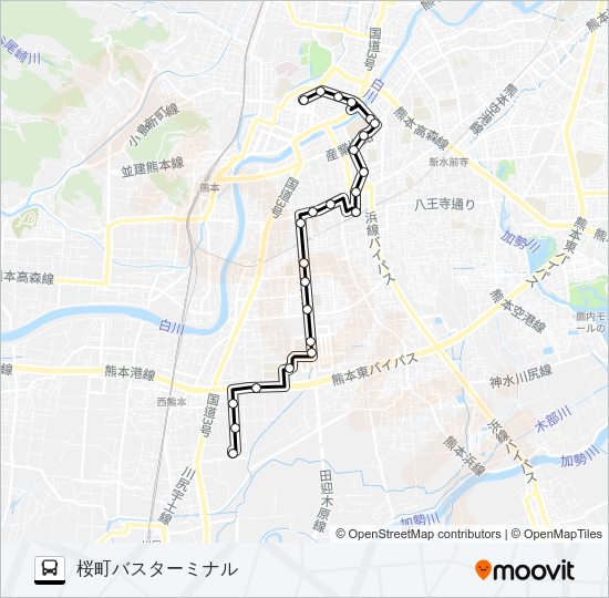 P2-1：野越団地→済生会病院→平成町→下通筋→桜町バスターミナル Bus Line Map