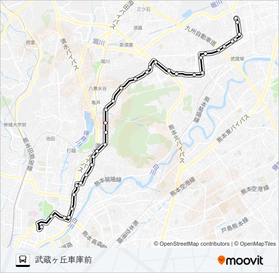 C9-3：桜町バスターミナル→水道町→三軒町→清水ヶ丘→楠団地→武蔵ヶ丘車庫前 Bus Line Map