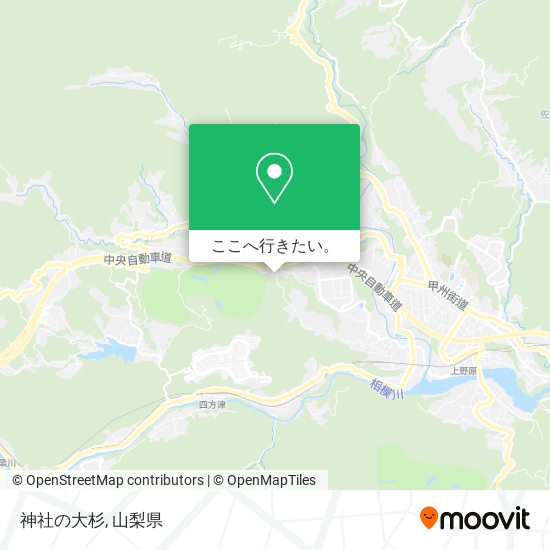 神社の大杉地図