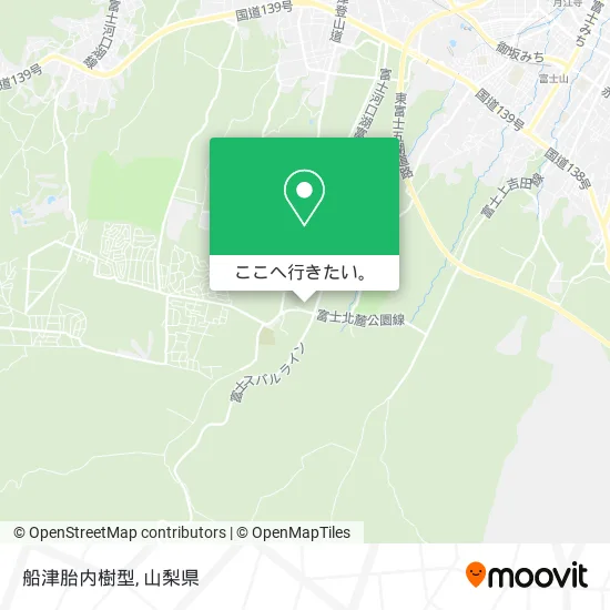 船津胎内樹型地図