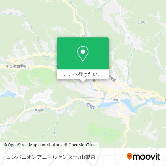 コンパニオンアニマルセンター地図