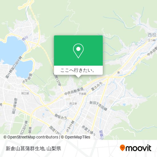 新倉山菖蒲群生地地図