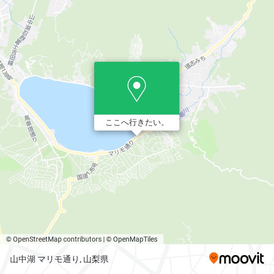 山中湖 マリモ通り地図
