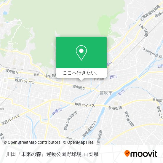 川田『未来の森』運動公園野球場地図