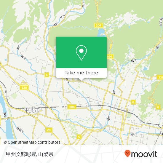 甲州文黥彫豊地図
