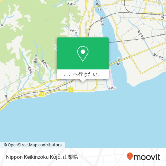 Nippon Keikinzoku Kōjō地図