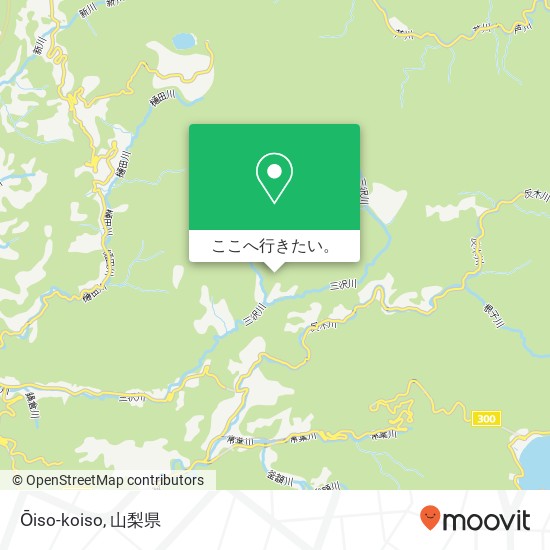 Ōiso-koiso地図