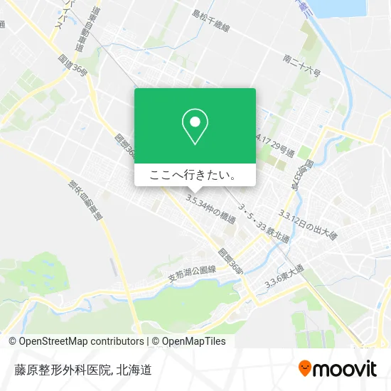 藤原整形外科医院地図