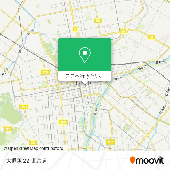 大通駅 22地図