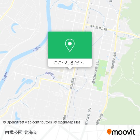 白樺公園地図