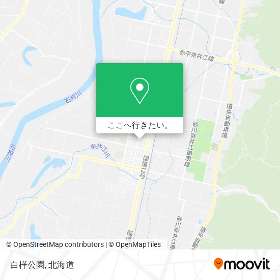 白樺公園地図