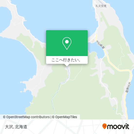 大沢地図