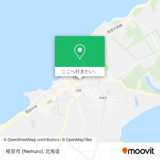 根室市 (Nemuro)地図