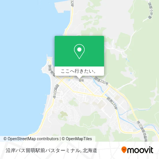 沿岸バス留萌駅前バスターミナル地図