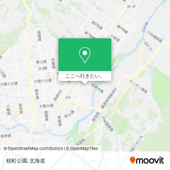 桜町公園地図