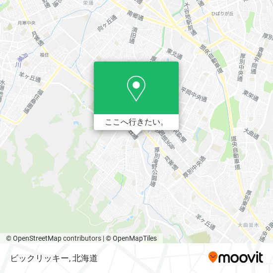ビックリッキー地図
