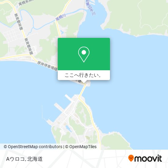 Aウロコ地図