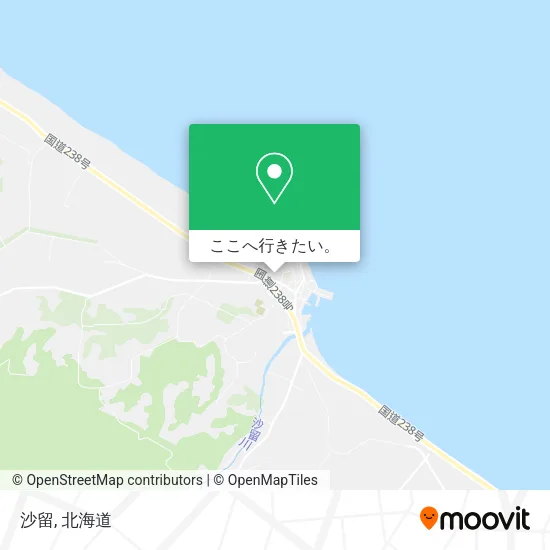 沙留地図