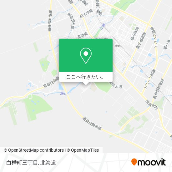 白樺町三丁目地図